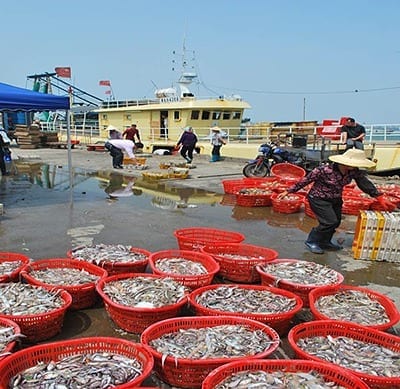 A sustainable approach for the world's fish supply