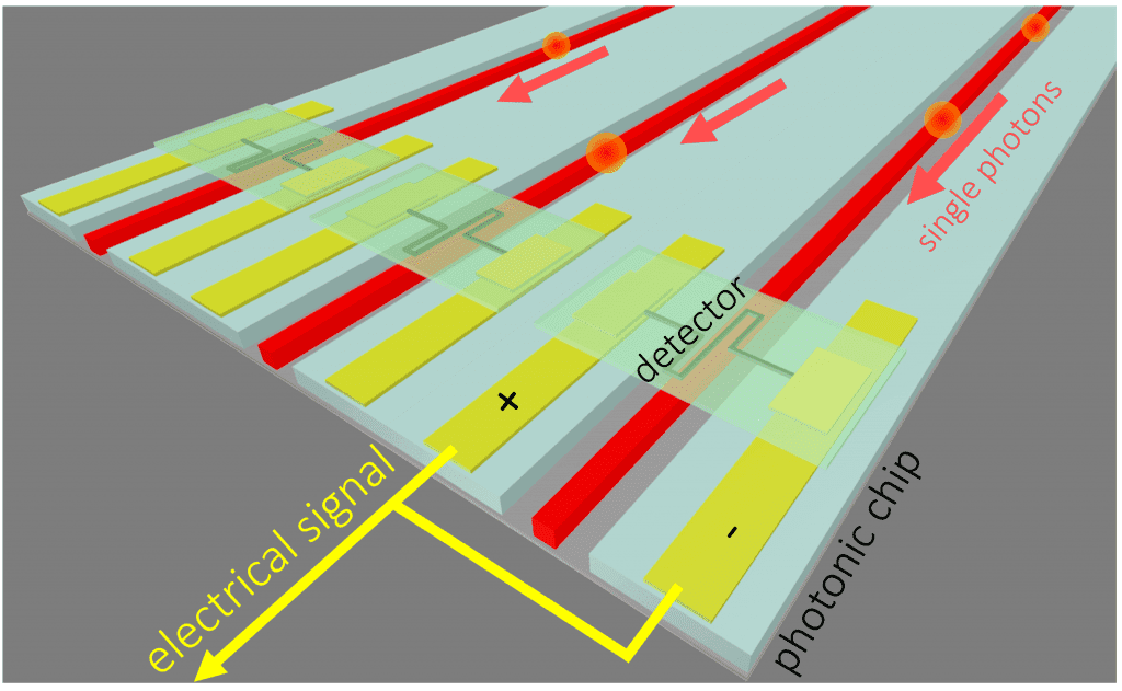 Illustration of superconducting detectors on arrayed waveguides on a photonic integrated circuit for detection of single photons. Credit: F. Najafi/ MIT
