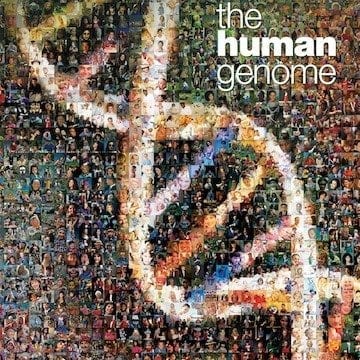 New Software Analyzes Human Genomes in 90 Minutes