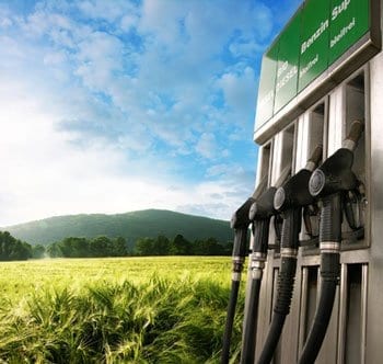 Renewable biofuel production avoids competition with food resources
