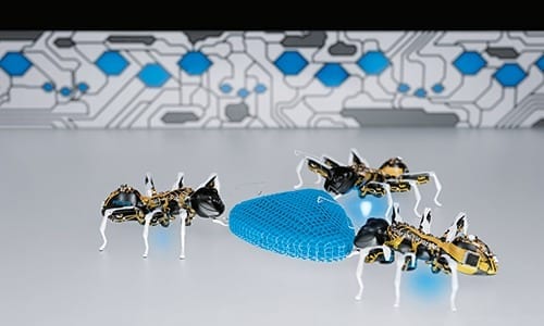 Well-conceived name: ‘ANT’ stands both for the natural role model and for Autonomous Networking Technologies