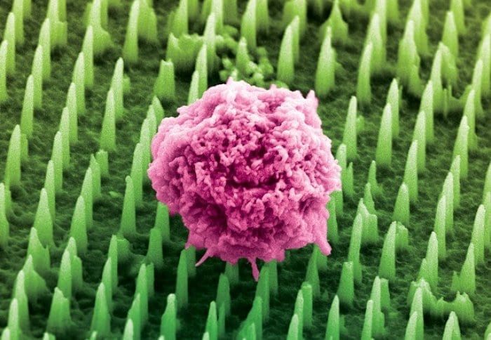 Prototype 'nanoneedles' generate new blood vessels in mice