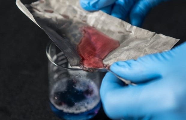 This mesh captures oil (red) while water (blue) passes through. Photo by Jo McCulty, courtesy of The Ohio State University.