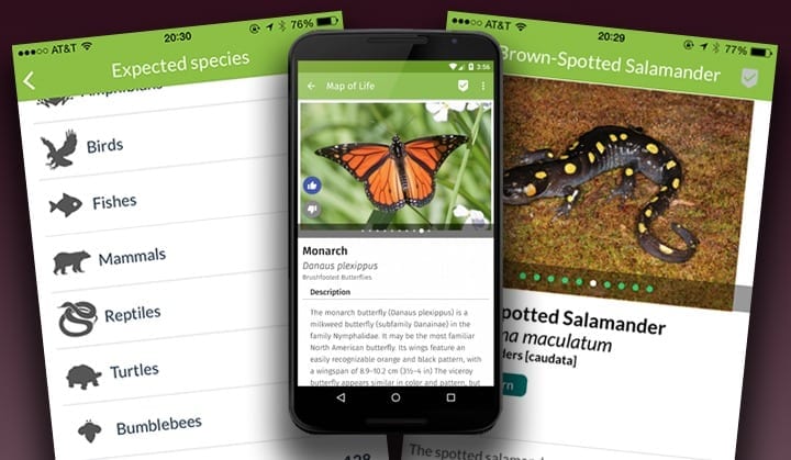 New app puts the world’s biodiversity in the palm of your hand