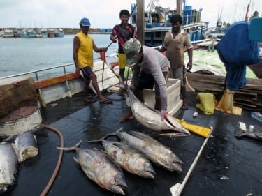 Fisherfolk, communities need more than healthy fish stocks