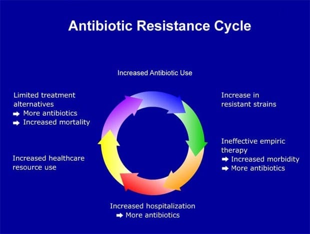 Programming DNA to Reverse Antibiotic Resistance in Bacteria