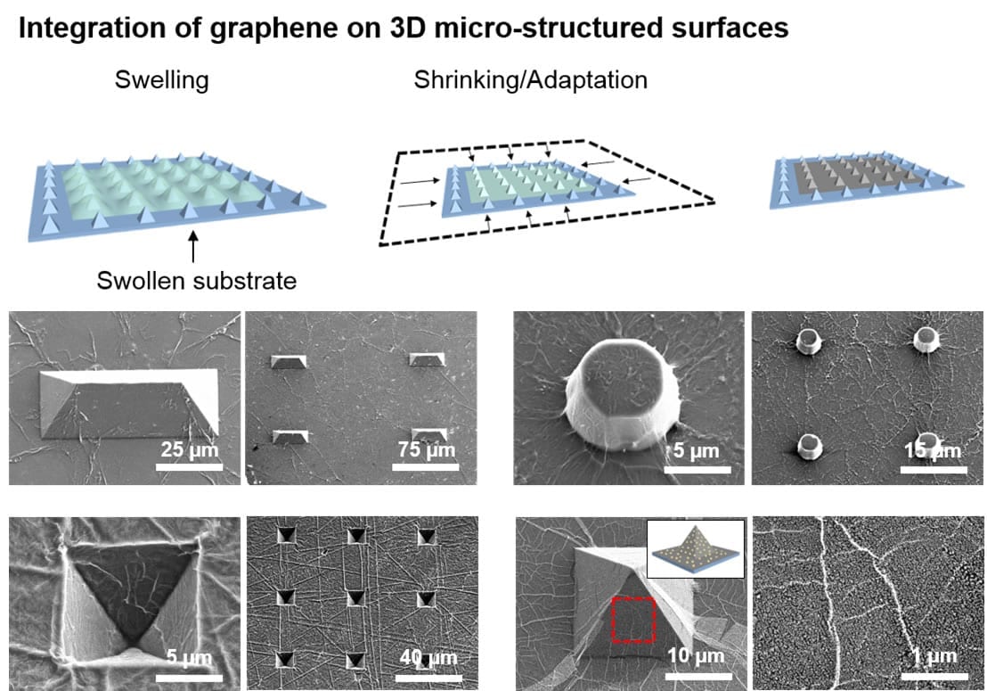 Graphene takes on a new dimension