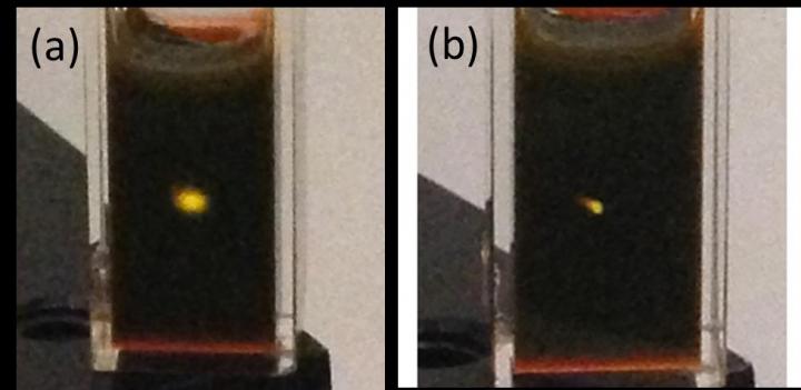 Photographs of upconversion in a cuvette containing cadmium selenide/rubrene mixture. The yellow spot is emission from the rubrene originating from (a) an unfocused continuous wave 800 nm laser with an intensity of 300 W/cm2. (b) a focused continuous wave 980 nm laser with an intensity of 2000 W/cm2. The photographs, taken with an iPhone 5, were not modified in any way. CREDIT Zhiyuan Huang, UC Riverside.