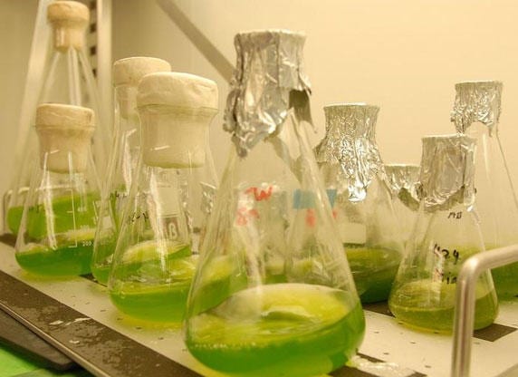 via www.biotechnologie.de