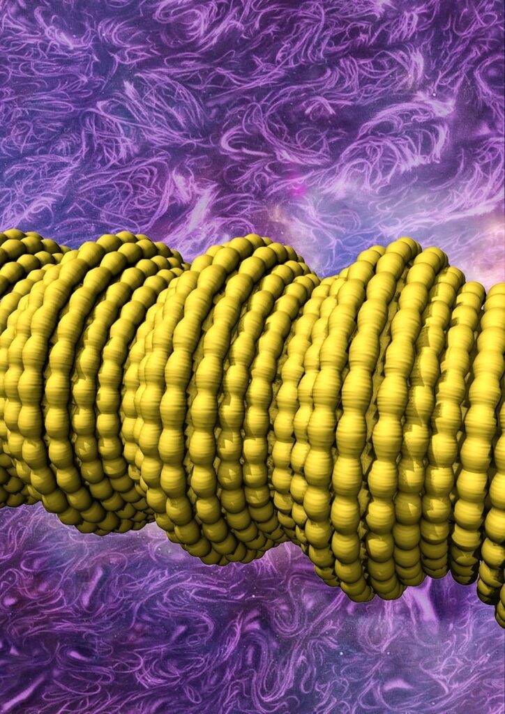 UT Dallas scientists have constructed novel fibers by wrapping sheets of tiny carbon nanotubes to form a sheath around a long rubber core. This illustration shows complex two-dimensional buckling, shown in yellow, of the carbon nanotube sheath/rubber-core fiber. The buckling results in a conductive fiber with super elasticity and novel electronic properties. 