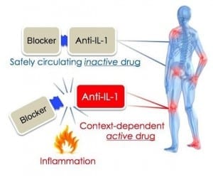 BGU Develops “Smart” Drug to Reduce Inflammation