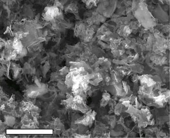 A scanning electron microscope image shows cobalt-infused metal oxide-laser induced graphene.