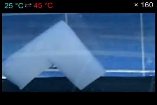 New hydrogel stretches and contracts like a heat-driven muscle