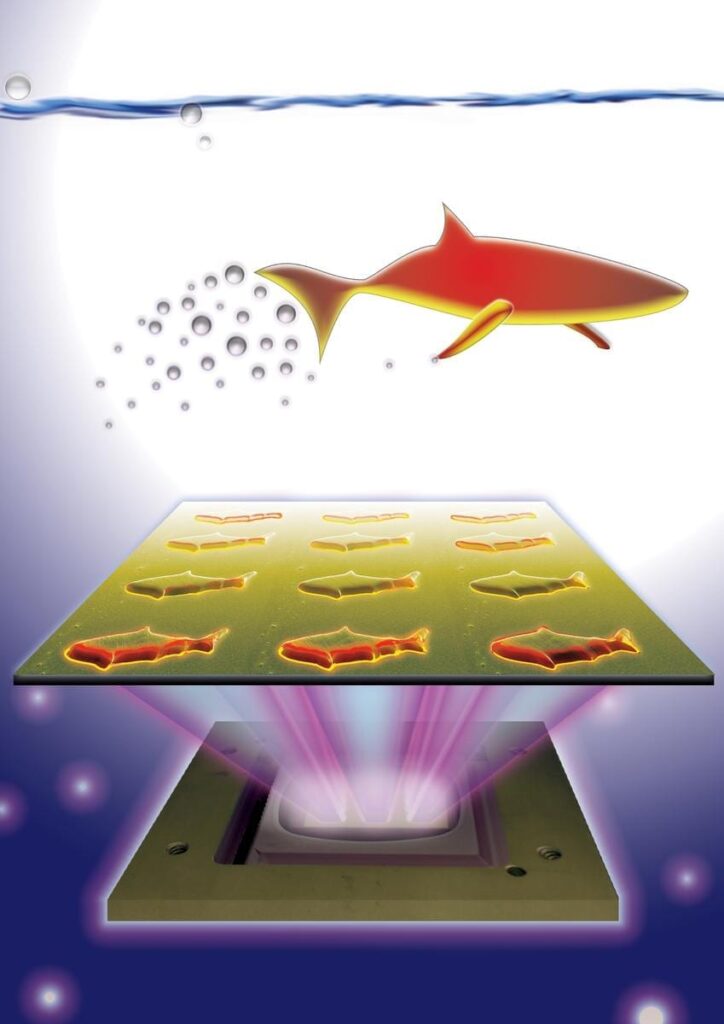 3D-printed microfish contain functional nanoparticles that enable them to be self-propelled, chemically powered and magnetically steered. The microfish are also capable of removing and sensing toxins. Image credit: J. Warner, UC San Diego Jacobs School of Engineering.