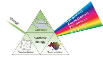 Synthetic biology needs robust safety mechanisms before real world application