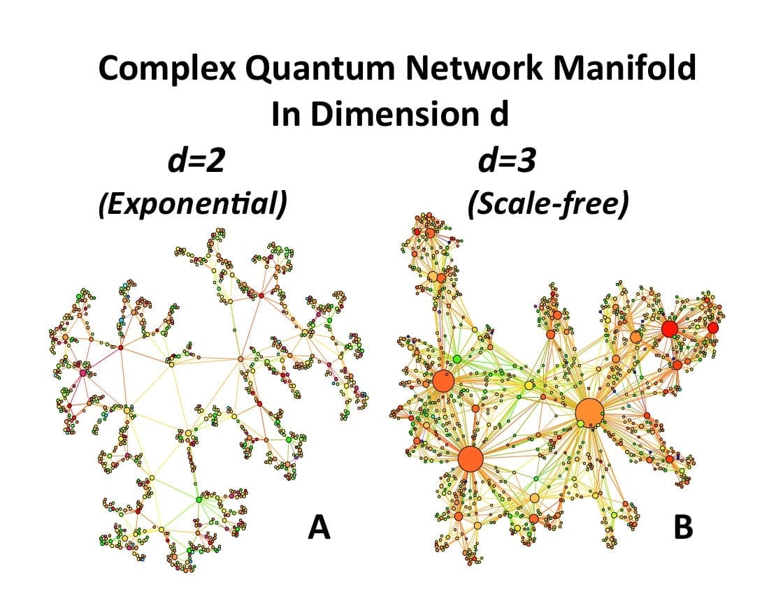 Understanding of complex networks could help unify gravity and quantum mechanics
