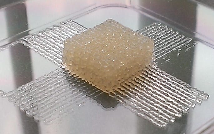 Silk bio-ink could help advance tissue engineering with 3-D printers
