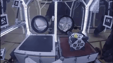 'Hedgehog' Robots Hop, Tumble in Microgravity