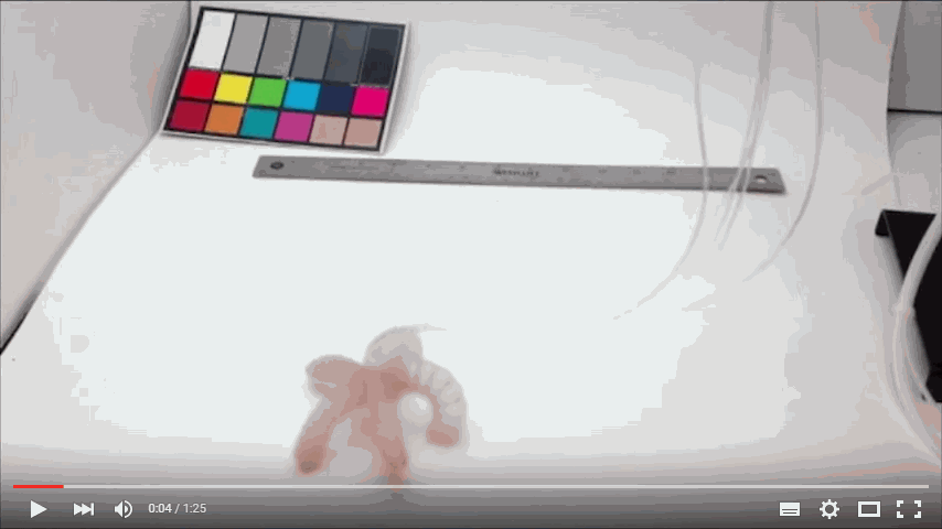 Soft robot changes color as it grips and walks
