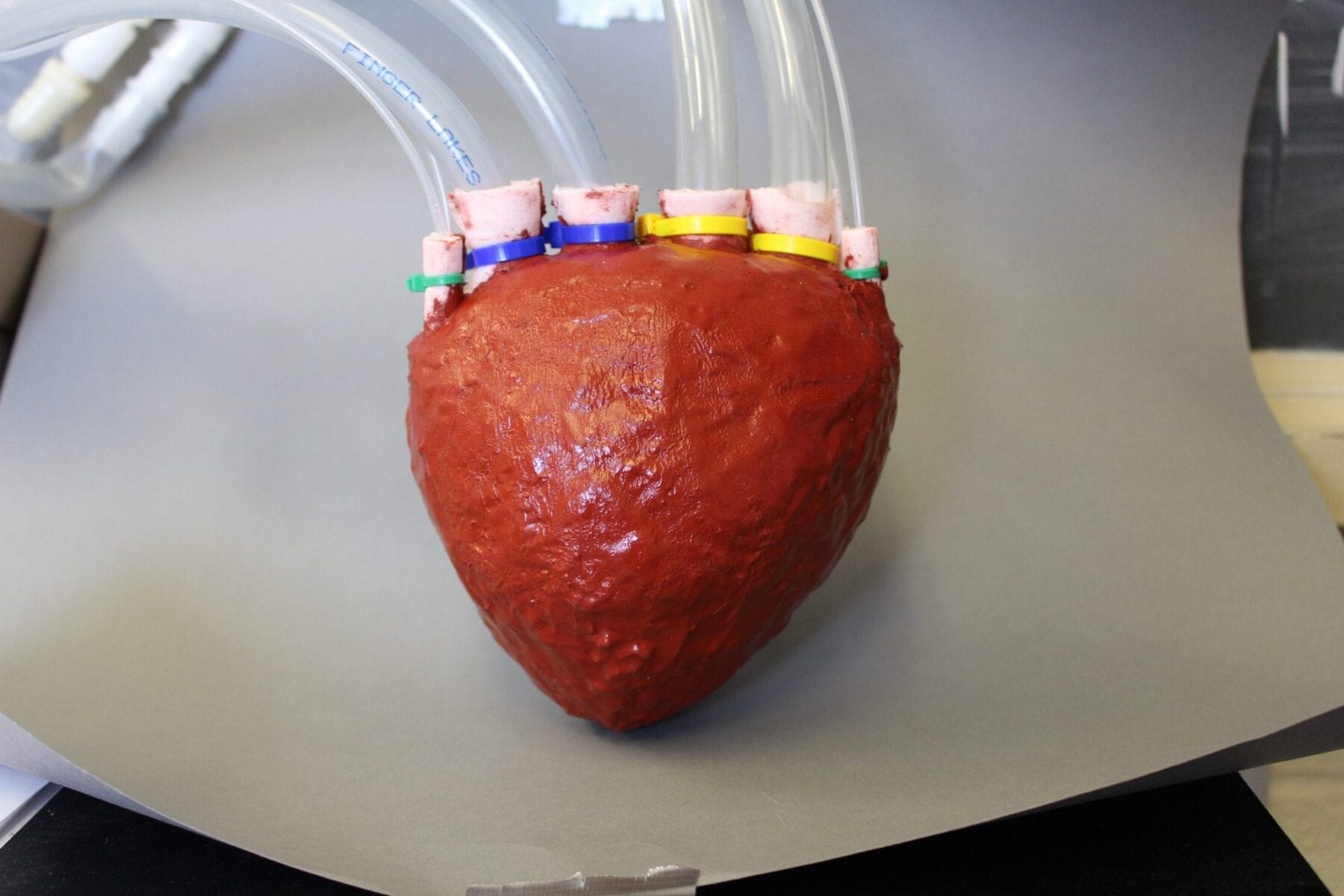 Cornell researchers create artificial foam heart