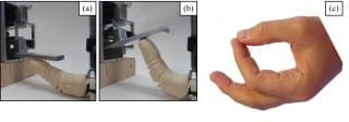This new technology used both a heating and then a cooling process to operate the robotic finger. Results from the study showed a more rapid flexing and extending motion of the finger as well as its ability to recover its trained shape more accurately and more completely, confirming the biomechanical basis of its trained shape.