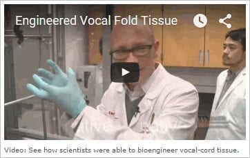 Wisconsin Scientists Grow Functional Vocal Cord Tissue in the Lab