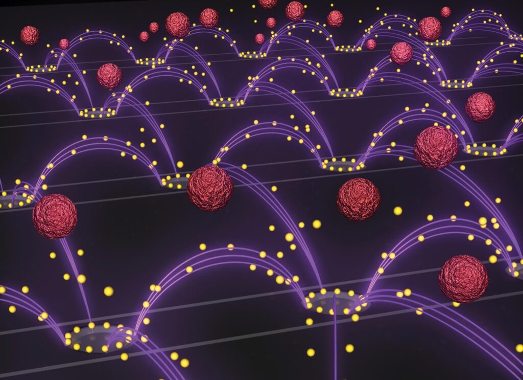 An artist's representation of the nanoparticle removal chip developed by researchers in Professor Michael Heller's lab at the UC San Diego Jacobs School of Engineering. An oscillating electric field (purple arcs) separates drug-delivery nanoparticles (yellow spheres) from blood (red spheres) and pulls them towards rings surrounding the chip's electrodes. The image is featured as the inside cover of the Oct. 14 issue of the journal Small. Image credit: Stuart Ibsen and Steven Ibsen.