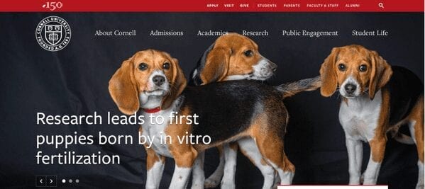 First “test tube” puppies born at Cornell veterinary college