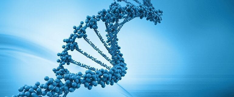 New ASU worldwide resource for exploring genes’ hidden messages