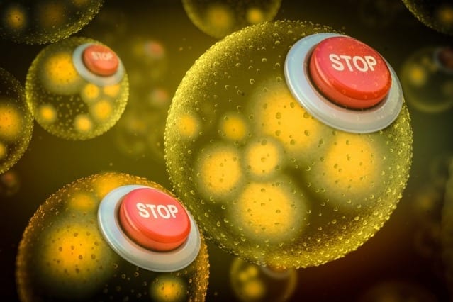“Kill switches” shut down engineered bacteria