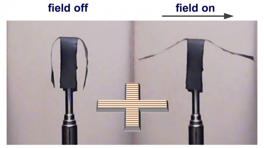 Selective actuation of the side arms of a soft robot in a horizontal uniform magnetic field. Image credit: Sumeet Mishra.