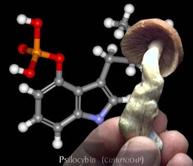 Active ingredient in magic mushrooms reduces anxiety and depression in cancer patients