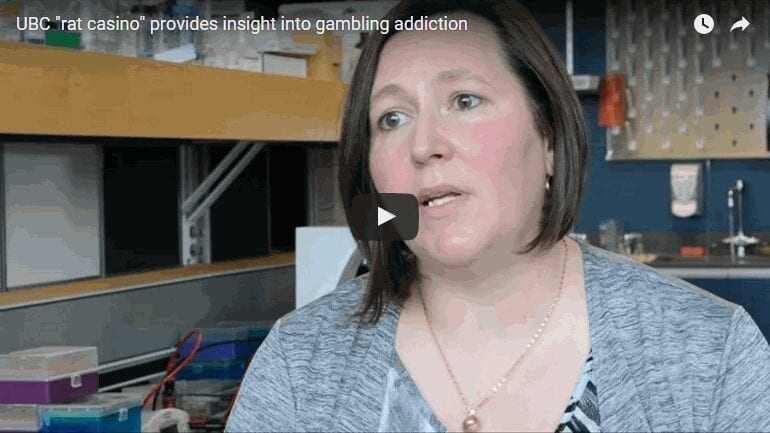 Flashing lights and music turn rats into problem gamblers