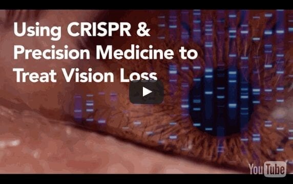 CRISPR Used to Repair Blindness-causing Genetic Defect in Patient-derived Stem Cells - Retinitis Pigmentosa