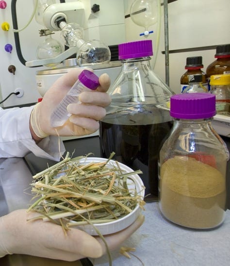 One-Stop Shop for Cellulosic Ethanol Biofuels