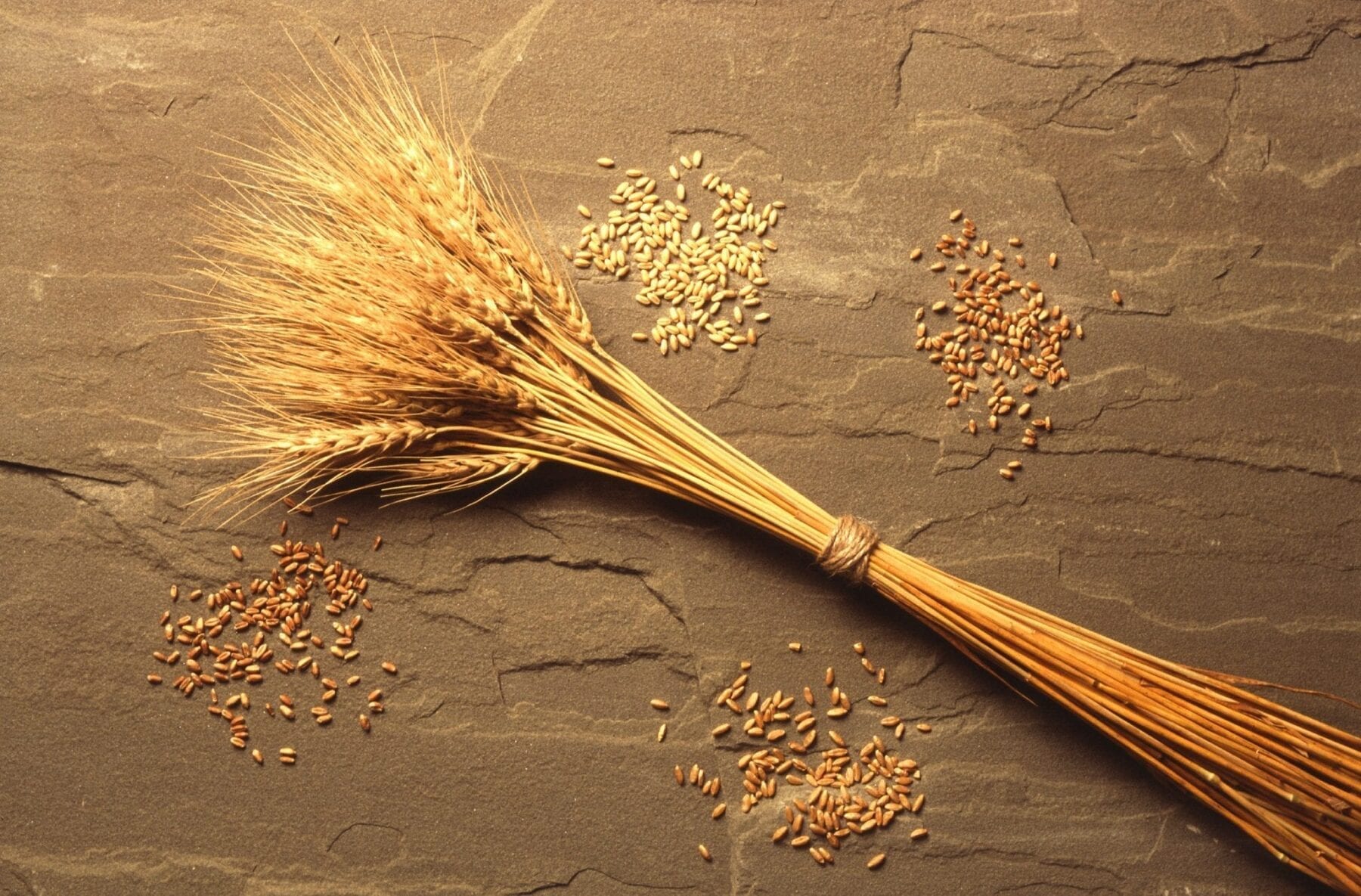 Enzymes with the potential to increase wheat yields