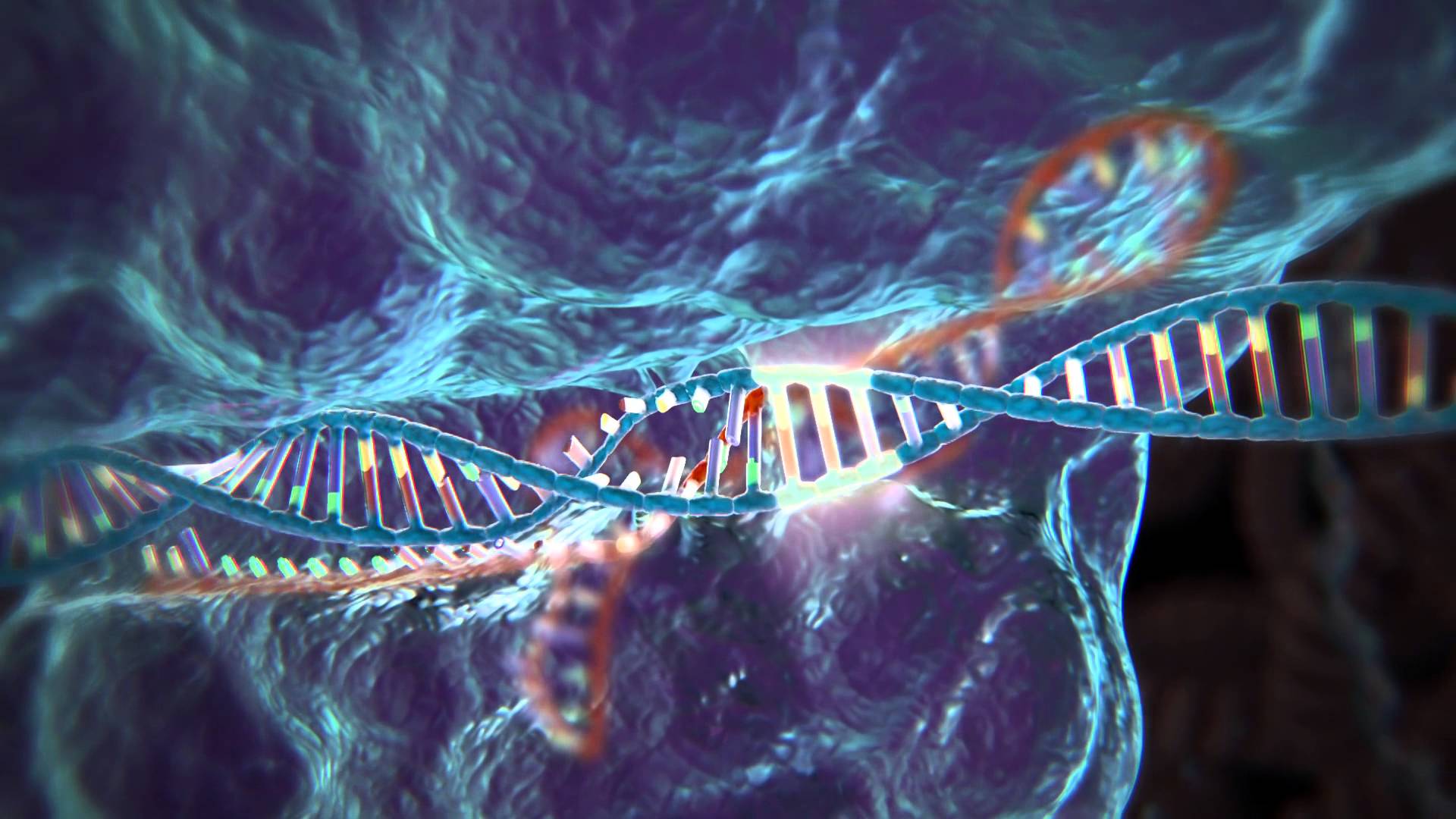 High-fidelity CRISPR-Cas9 nucleases have no detectable off-target mutations