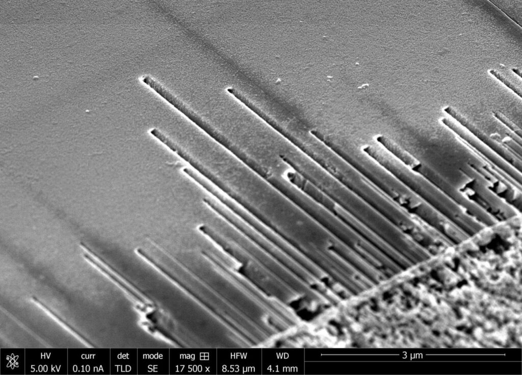 Electron micrograph of surface-directed nanochannels formed on the surface of the semiconductor indium phosphide. Nanochannels are formed using a gold-catalyzed vapor-liquid-solid etch process and their locations are defined by the deposited gold pattern. Credit: Marti/JILA