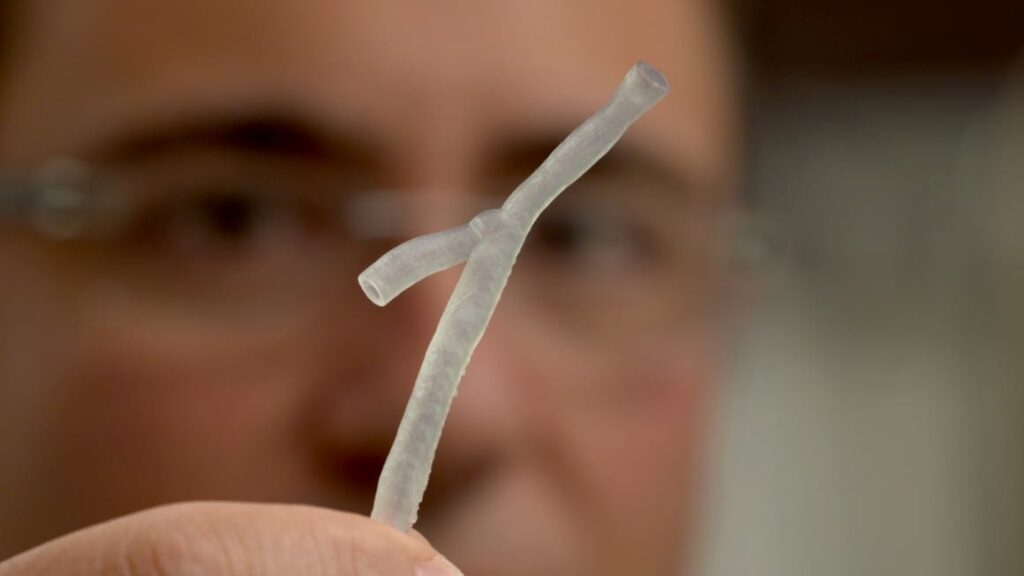 Associate Professor Peter Barlis examines a 3D printed artery.