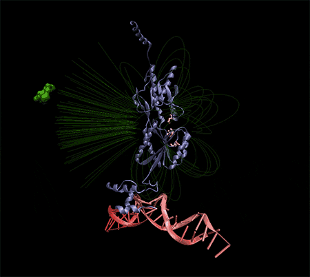 Biosensors on demand by designer proteins