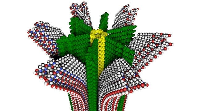 Northwestern University researchers have developed a new hybrid polymer with removable supramolecular compartments, shown in this molecular model. (Credit: Mark E. Seniw, Northwestern University) 