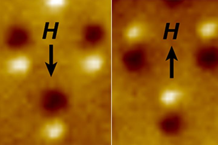 Magnetic microscope image of three nanomagnetic computer bits. Each bit is a tiny bar magnet only 90 nanometers long. The microscope shows a bright spot at the "North" end and a dark spot at the "South" end of the magnet. The "H" arrow shows the direction of magnetic field applied to switch the direction of the magnets. CREDIT Image by Jeongmin Hong and Jeffrey Bokor