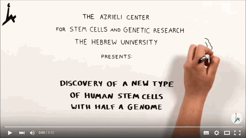 Scientists Generate a New Type of Human Stem Cell That Has Half a Genome