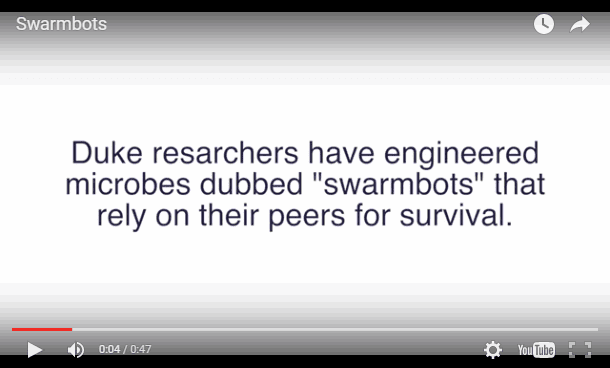 Duke University bioengineers design swarmbots that die if they leave the confines of their capsule