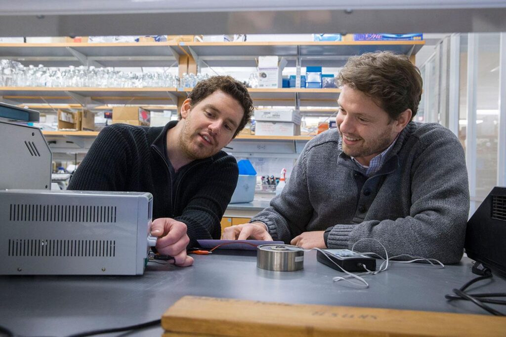 Michael Wheeler, left, and Ali Deniz Güler engineered a synthetic gene that, used in conjunction with a magnetic field, allows them to control neural circuits. (Photo by Dan Addison)