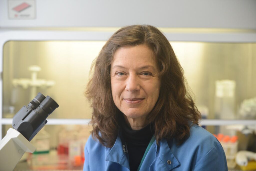 This is a picture of Dr. Gunnel Hallden, Barts Cancer Institute, QMUL. CREDIT Pancreatic Cancer Research Fund