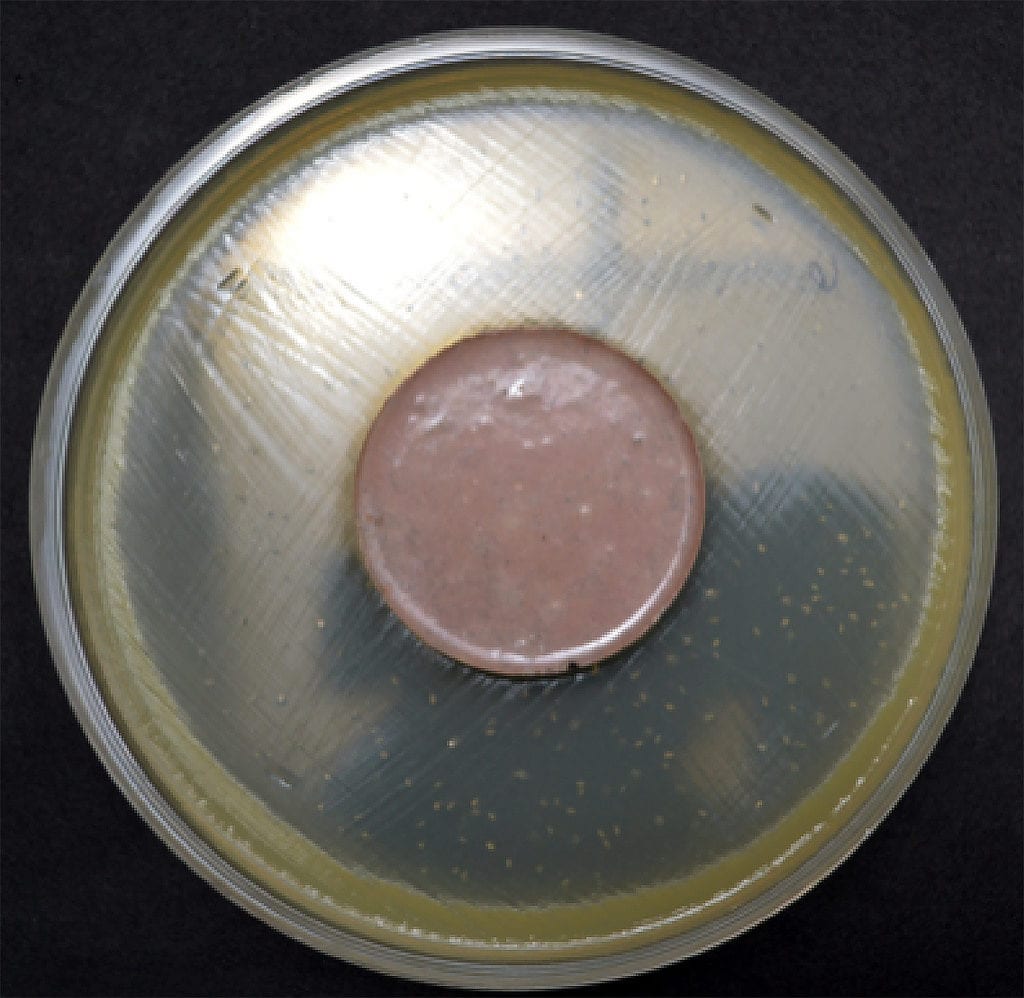 Sample of Antibac polymer