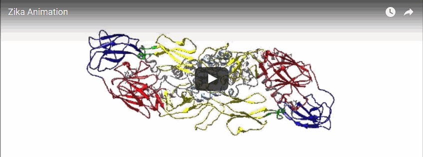 Researchers reveal Zika virus structure, a critical advance in the development of treatments