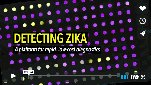 Finding Zika one paper disc at a time in 2 to 3 hours