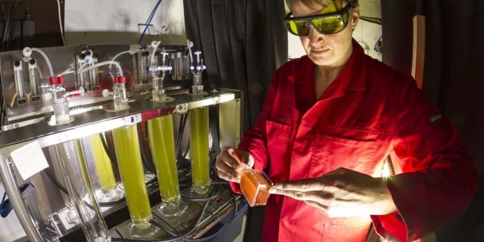 LED lighting stimulates microalgae to produce everything from food to fuel